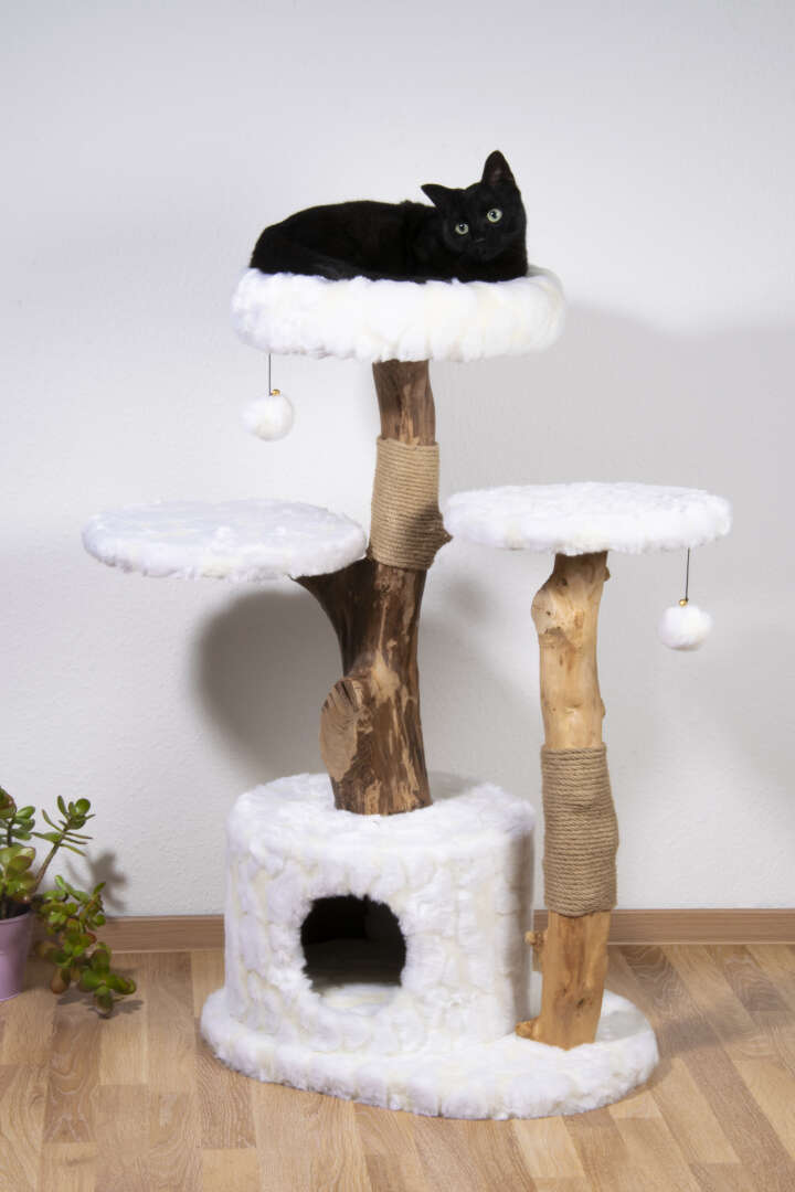 dobar Kratzbaum Frosty